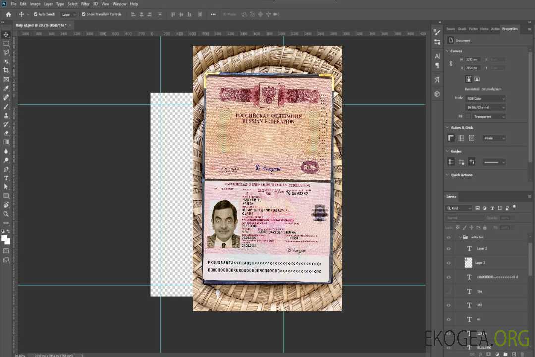 Look photo du passeport de voyage en Russie template Look photo du passeport de voyage en Russie template